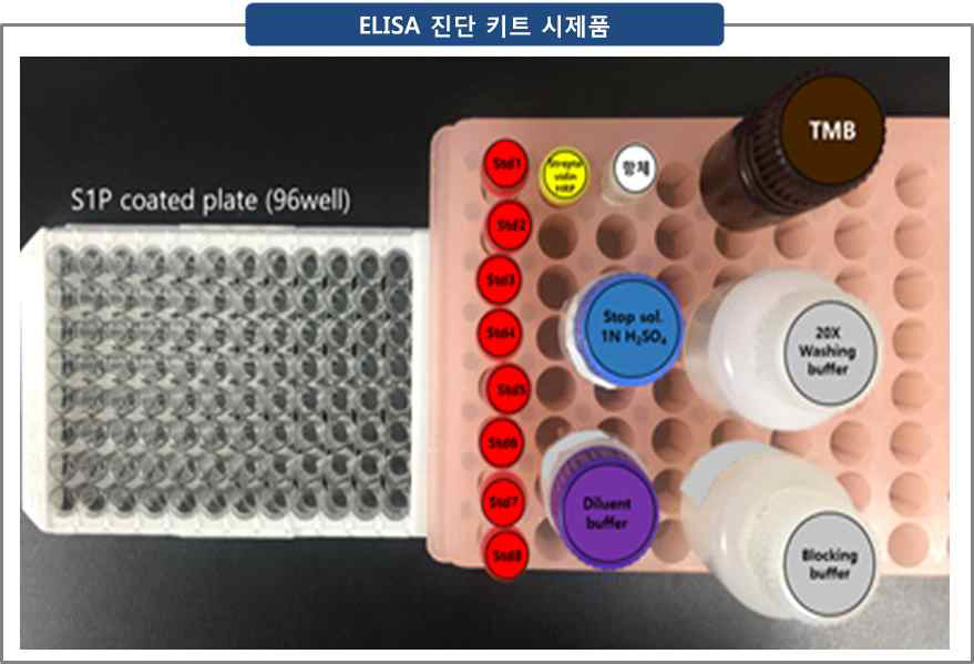 36 test kit 생산