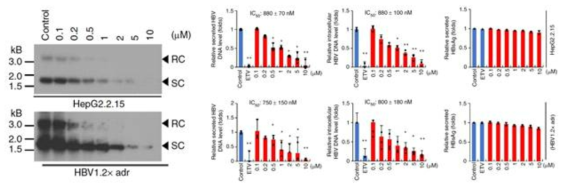 Ciclopirox inhibits HBV replication