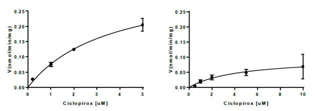 Ciclopirox metabolism velocity profile in rat(left) and human(right) liver S9. The solid line represents the curve of the best fit. (Mean ± SD, n-=3)