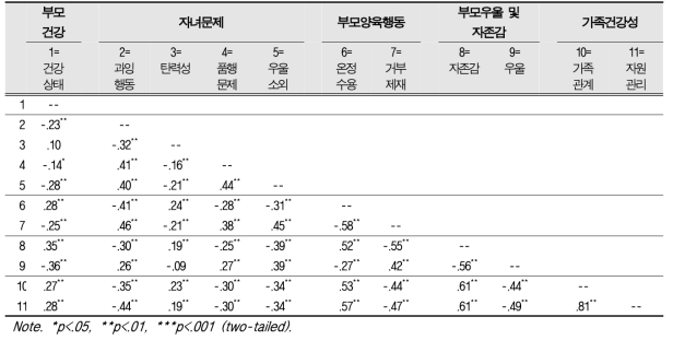 개발된 척도들 간의 상관계수
