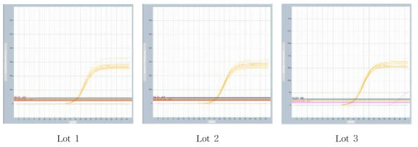 감염병 3종 target 용 multiplex real-time PCR