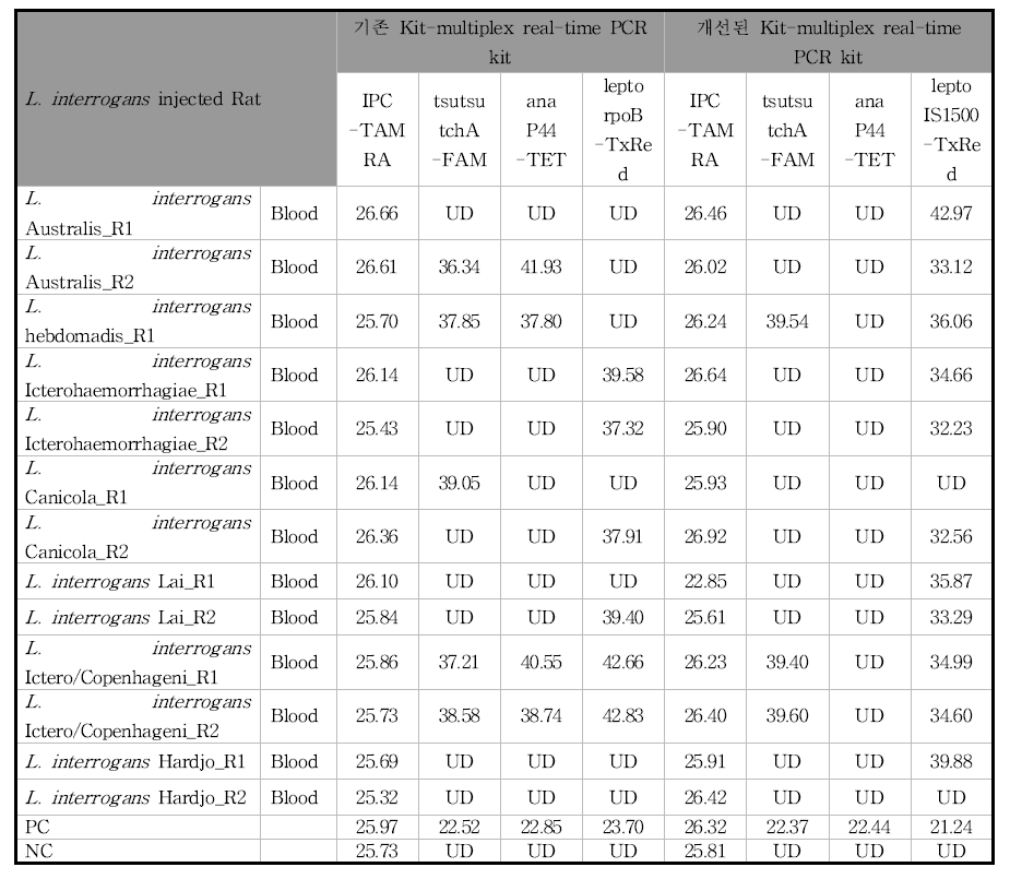 비임상연구를 통해 구축한 렙토스피라증 동물감염모델에서 기존 kit와 개선된 kit를 사용하여 수행한 감염병 3종 target 용 multiplex real-time PCR 결과 및 Ct 값