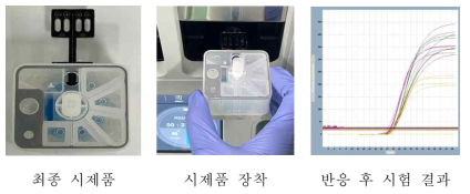 시제품 POCT 시험