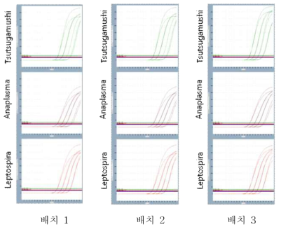 시제품 배치별 시험