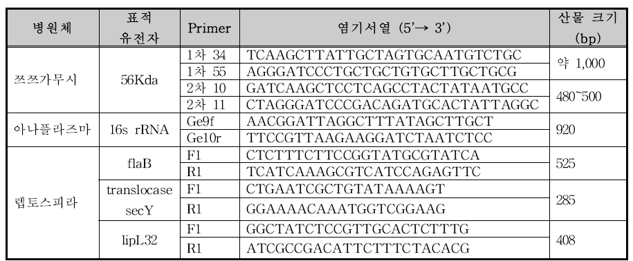 병원체에 따른 primer 종류