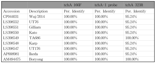다양한 유전형의 O. tsutsugamushi tchA 유전자들과 multiplex real-time PCR에 사용된 쯔쯔가무시증 진단용 tchA primers의 상동성