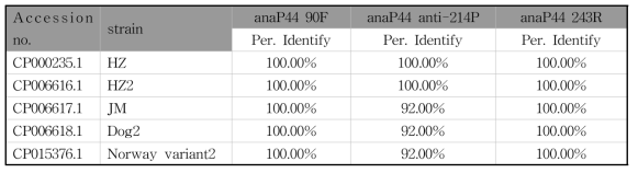 다양한 유전형의 A. phagocytophilum P44 유전자들과 multiplex real-time PCR에 사용된 아나플라즈마증 진단용 P44 primers의 상동성