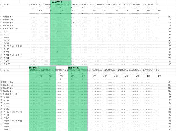 아나플라즈마증 환자의 p44유전자들의 염기서열과 감염병 3종 target 용 multiplex real-time PCR을 위해 사용된 primer 서열의 위치 및 primer 부위의 상동성