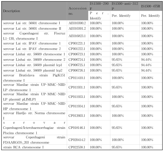 다양한 유전형의 L. interrogans IS1500 유전자들과 multiplex real-time PCR에 사용된 렙토스피라증 진단용 IS1500 primers의 상동성