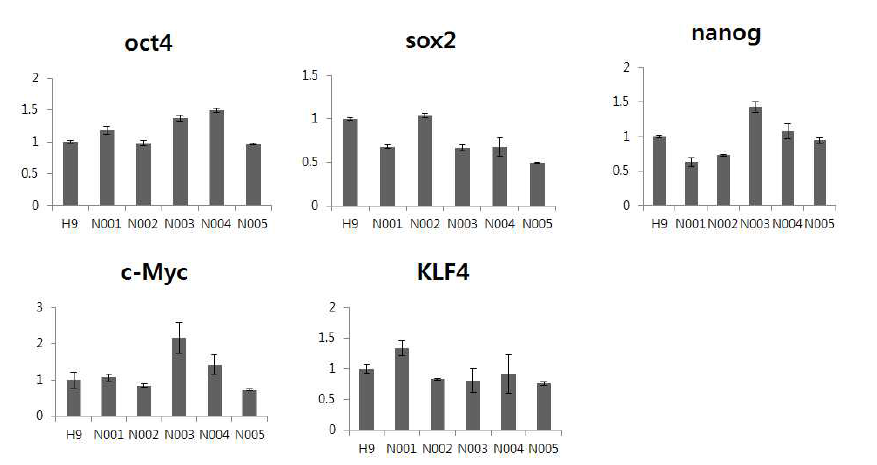 정상인 iPSC에서 전분화능표지 유전자 발현 검사. H9: hESCs positive control, N001-005: 정상군의 혈액으로부터 제조된 유도만능줄기세포주