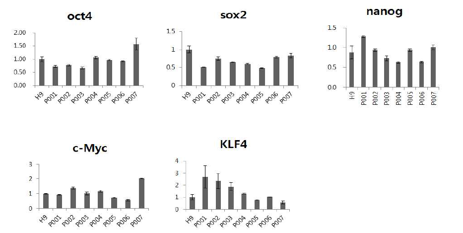 말초동맥질환 환자유래 iPSC에서 전분화능표지 유전자 발현 검사. H9: hESCs positive control, P001-007: 환자의 혈액으로부터 제조된 유도만능줄기세포주