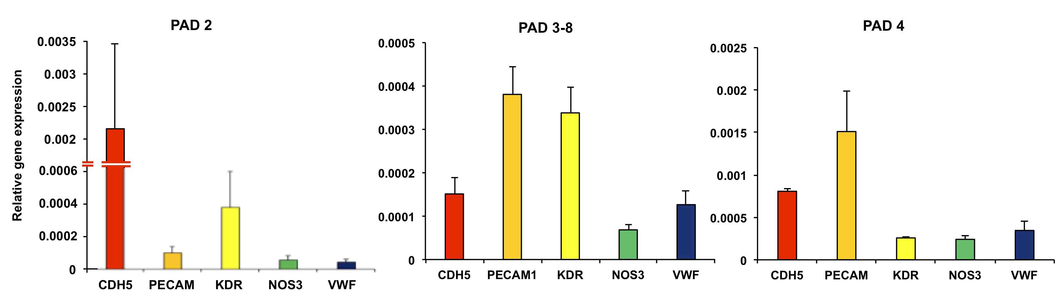 GMP 생산 PAD-hiPSC-EC의 유전자 발현 특성 분석. GMP내에서 분화시킨 PAD2, PAD3-8, PAD4 세포주의 혈관내피세포특이마커유전자(CDH5, PECAM1, KDR, NOS, VWF) 발현 확인