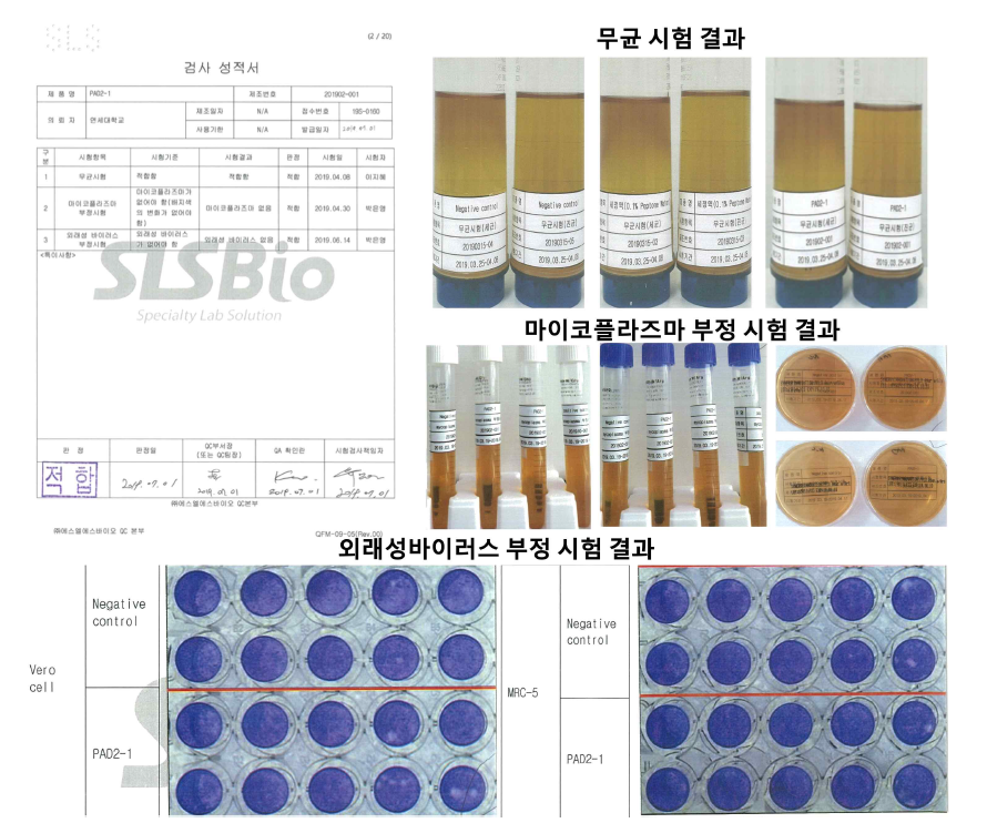 분포시험 시료의 순도시험결과 및 적합판정 성적서