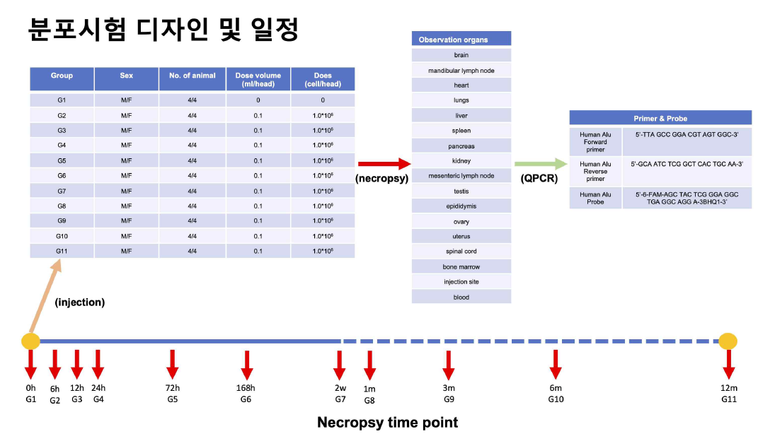 분포시험 디자인