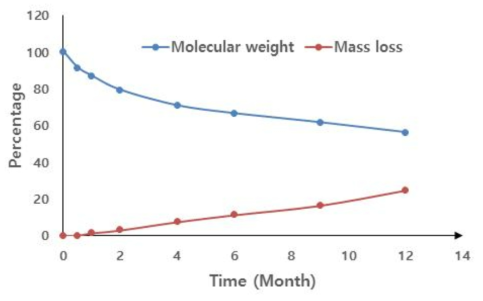 생분해성 스텐트의 Mass loss와 분자량 변화 (자사)