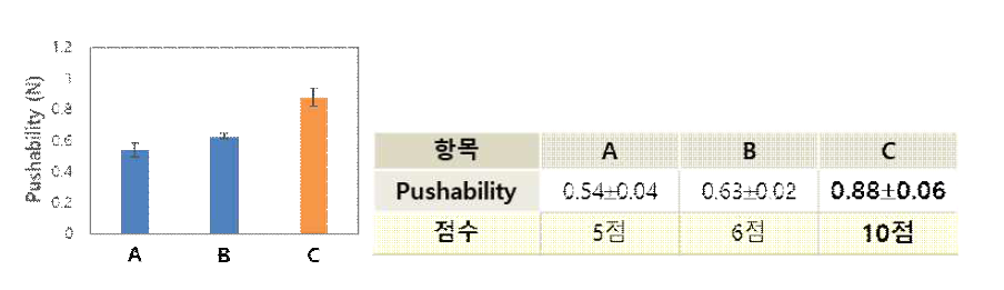 스텐트 전달시스템 Pushability 평가