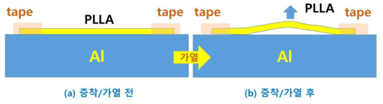 증착공정 중 열팽창 계수 차이에 의한 buckling 발생을 설명하는 개념도. Buckling이 발생하여 PLLA 필름이 냉각판으로부터 이탈되면 냉각 효율이 떨어져 휨 변형의 원인이 됨