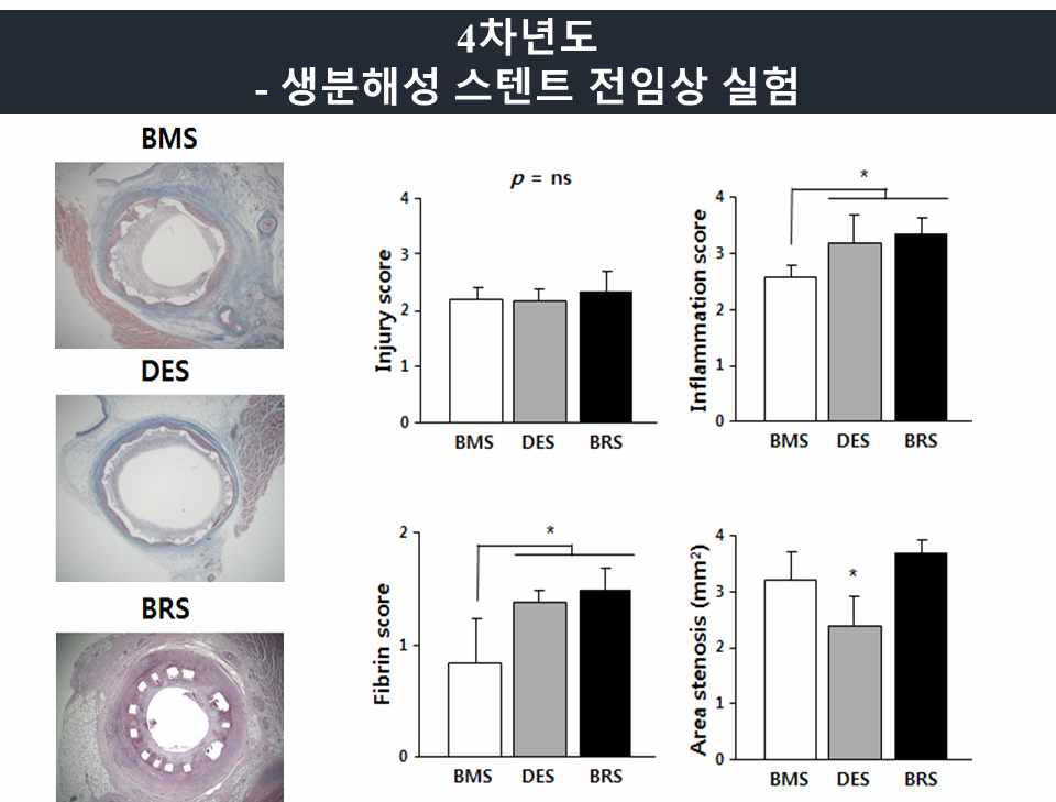 돼지 관상동맥 동물 시험 조직 분석