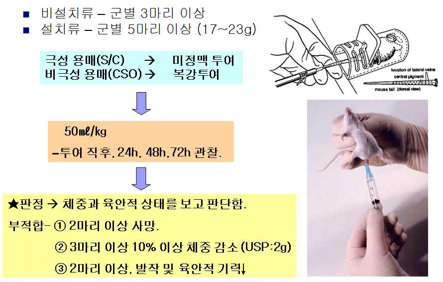 급성독성 시험 결과 예시