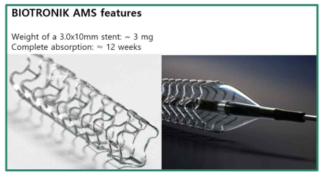 바이오트로닉사의 생분해성 마그네슘 스텐트