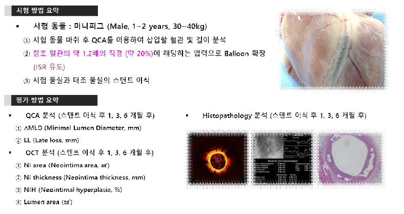 허가용 전임상시험 시험 방법 및 평가 방법