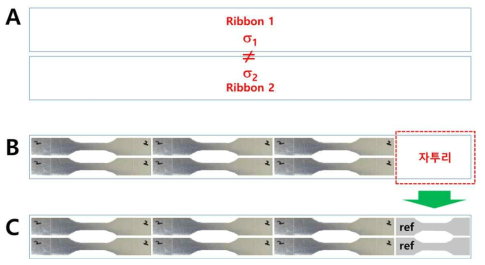 PLLA 원소재 리본별 물성의 다름을 전제(A)로 인장시편의 원소재 특성 모니터링과 동일한 물성의 리본을 가려내기 위한 reference 시편 도입 (B, C)을 설명하는 그림