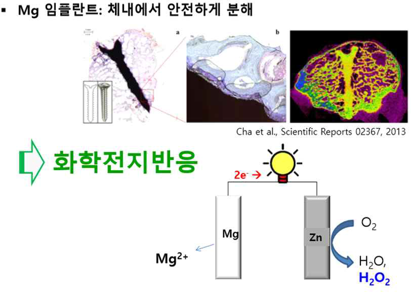 마그네슘의 수소 발생 방지를 위한 원리