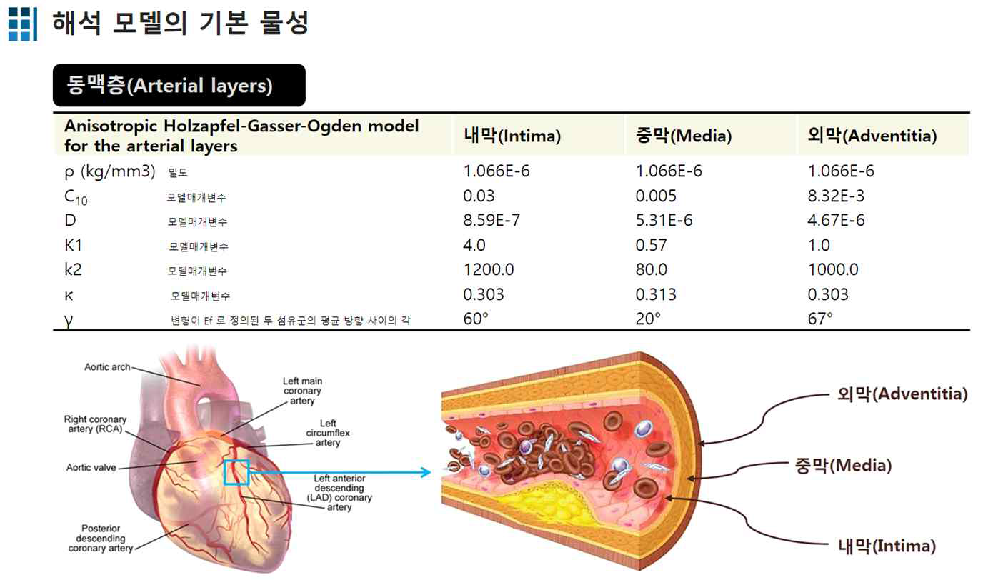 아바쿠스 해석 진행을 위한 혈관 모델 시뮬레이션