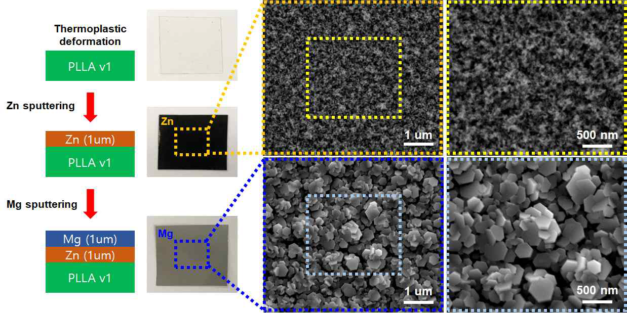 유무기 하이브리드 복합층의 구조, 각각의 무기 금속층의 증착 후 표면 사진 및 주사전자현미경 이미지. PLLA 기판은 thermoplastic deformation 공정을 통해 제작함