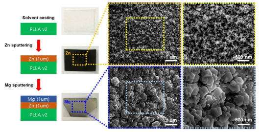 Solvent casting 법으로 제작한 PLLA 기판에 PLLA/Zn/Mg 하이브리드 복합층을 형성한 모습