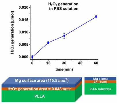 과산화수소 생성 실험에 사용된 하이브리드 복합층의 크기와 최초 1시간 동안의 생성량 데이터