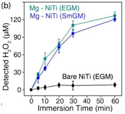 Mg/NiTi 시스템의 EGM, SmGM 미디어 내에서의 활성산소 생성 거동. Mg anode 층의 부식에 의해 생성된 전자는 NiTi로 이동하여 표면에서 음극반응인 산소환원반응을 일으켜 활성산소를 생성한다 (Park/Seo et al., Langmuir 2019)