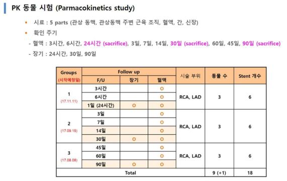 PK 동물 시험 개요