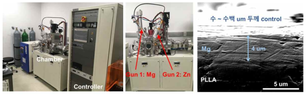 연구에 사용된 스퍼터 장치 및 충분한 진공도 하에서 증착된 조밀한 Mg 금속층의 단면