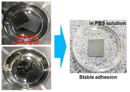 장비와 공정 조건(진공도)의 개선을 통해 Zn 층과 PLLA 기판 사이의 계면 안정성도 개선됨
