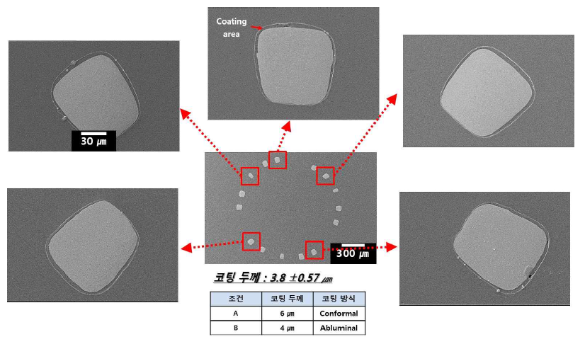 코팅 두께 SEM 분석