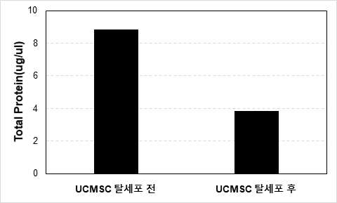 UC-MSC의 탈세포 전/후 total protein 농도 측정