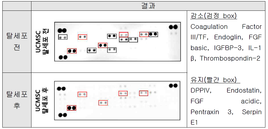 UC-MSC의 탈세포 전/후 혈관신생 인자 microarray 분석