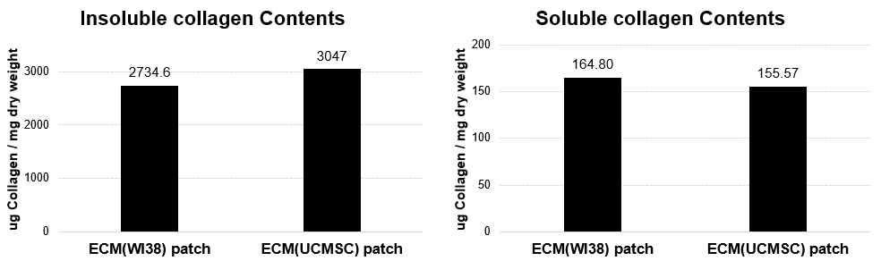 ECM matrix의 탈세포 전/후 Total collagen 함량 비교 분석