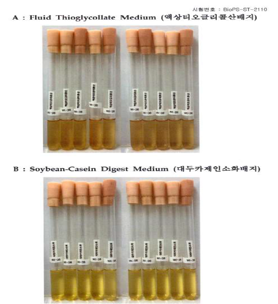 무균시험 최종결과 – Sterility test of WI-38 (Day 14)