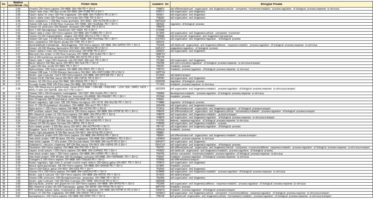 ECM components' protein-matched list in NCBI (1) (순서대로 No. / frequency / protein name / Accession no / Biological Process)