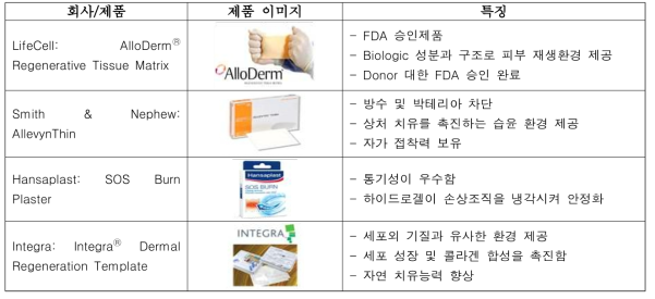 국외 의료용 패치 제품의 예