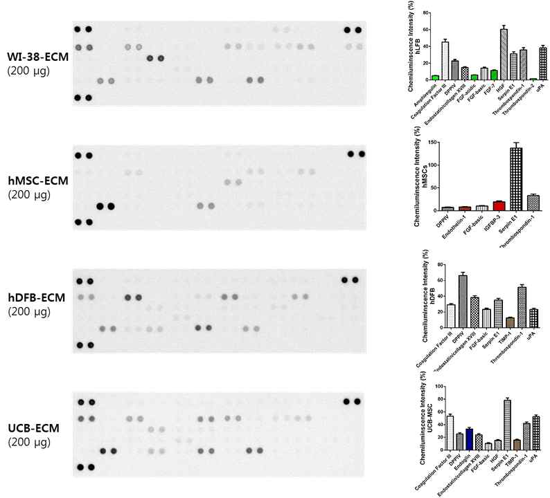 Proteosome microarray kit를 이용한 ECM 구성성분 분석