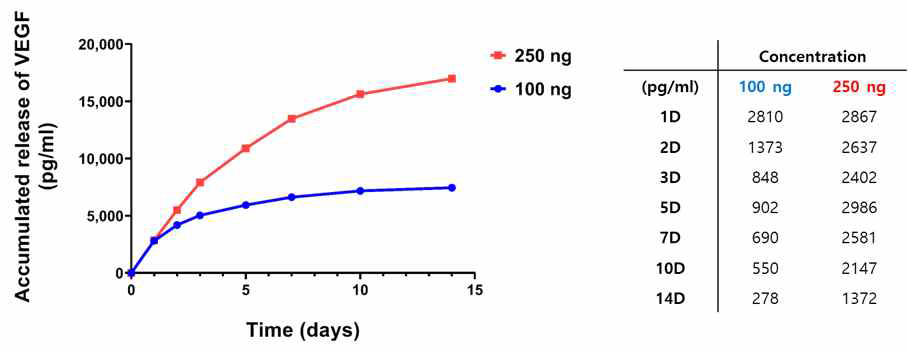 Heparin-conjugation 방식을 통해 제작된 ECM 패치의 성장인자 방출 거동 평가