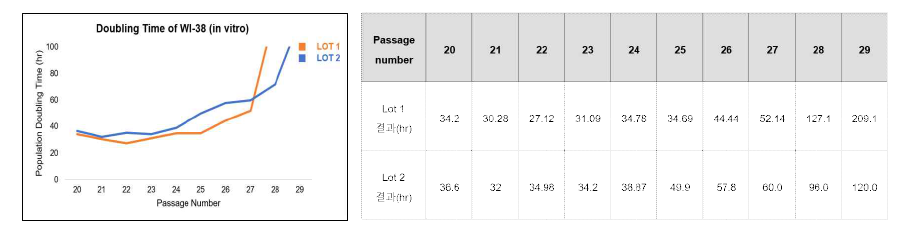 WI-38 cell(Lot1, Lot2) 계대수 차이에 의한 분열 속도 분석 결과