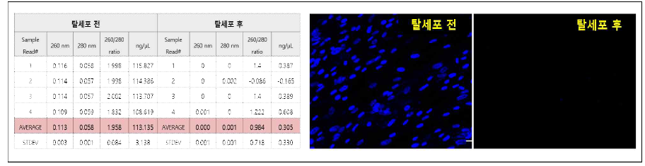 WI-38 탈세포 전/후 DNA 정량 분석 결과