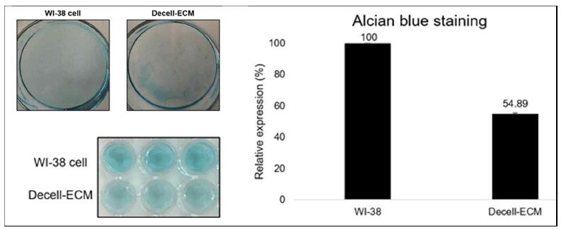 WI-38 cell 탈세포 전/후 GAG 성분 alcian blue staining 흡광도 측정(595nm)