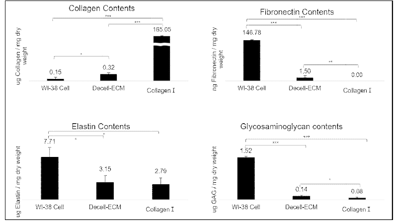 WI-38 cell 탈세포 전/후 ECM 성분 정량 분석 결과