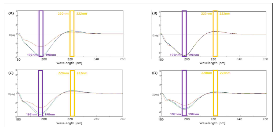 ECM + Collagen matrix 멸균 조건 별 단백질 CD spectroscopy 분석. (A) Control, (B) EO gas 멸균, (C) E-beam 멸균 (D) Gamma 멸균. Green line: Collagen, Blue line: 0.1% ECM, Red line : 1% ECM