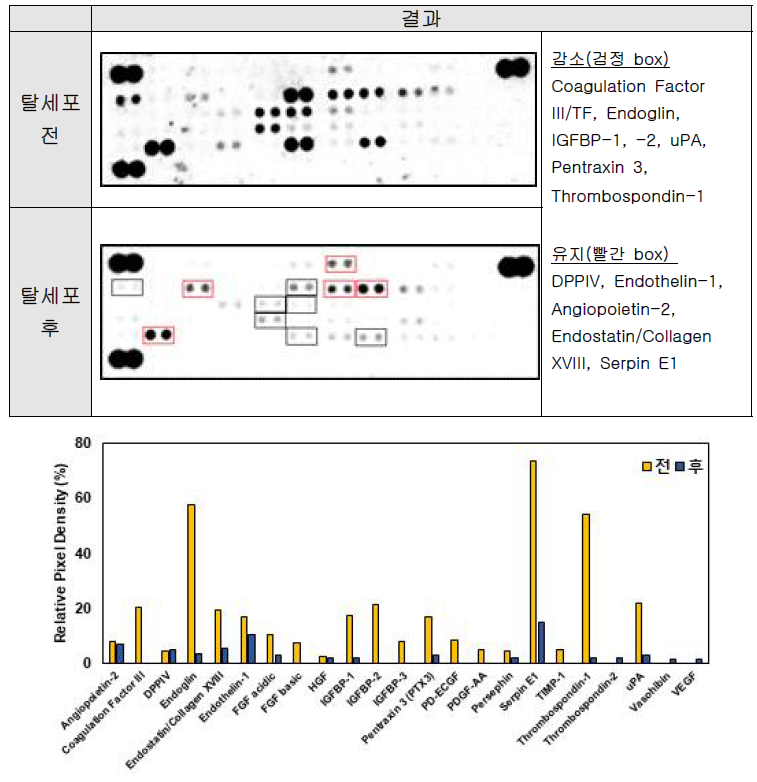 UCB-MSC 탈세포 전/후 혈관신생 관련 인자 분석 결과